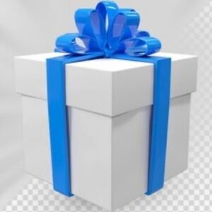 "ADD ON" Item *only*Must be placed in BUNDLE & Purchased w reg priced item. NWT